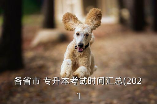 寧夏統(tǒng)招專升本報(bào)名時(shí)間