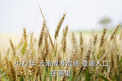 2022年 云南成考成績(jī) 查詢?nèi)肟谠谀睦? class=