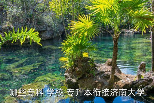 哪些?？?學(xué)校 專升本銜接濟(jì)南大學(xué)