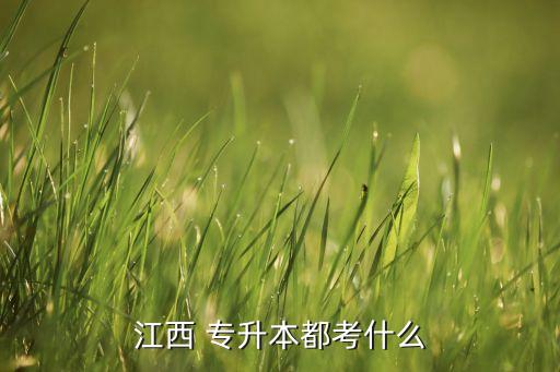 江西 專升本都考什么