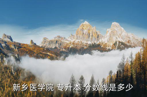 新鄉(xiāng)醫(yī)學院 專升本 分數(shù)線是多少