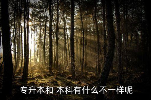  專升本和 本科有什么不一樣呢
