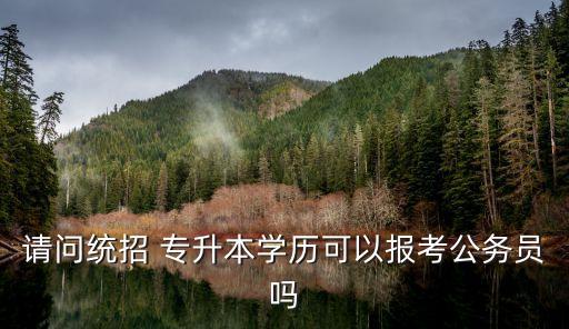 請問統(tǒng)招 專升本學(xué)歷可以報(bào)考公務(wù)員嗎