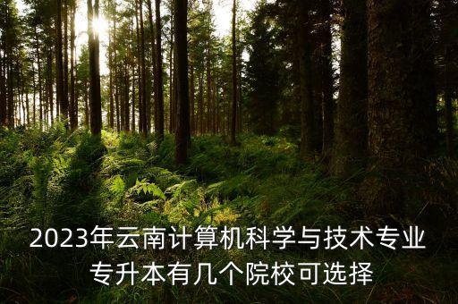 2023年云南計算機科學(xué)與技術(shù)專業(yè) 專升本有幾個院?？蛇x擇