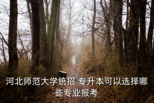 學(xué)前教育 專升本 招生簡章