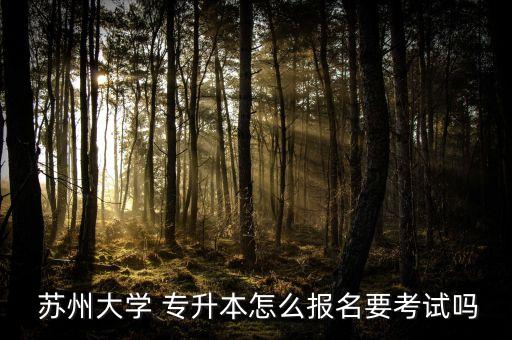  蘇州大學 專升本怎么報名要考試嗎