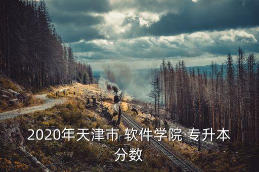 2020年天津市 軟件學院 專升本分數(shù)