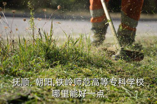 撫順, 朝陽,鐵嶺師范高等?？茖W(xué)校哪里能好一點(diǎn)