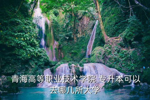  青海高等職業(yè)技術學院 專升本可以去哪幾所大學