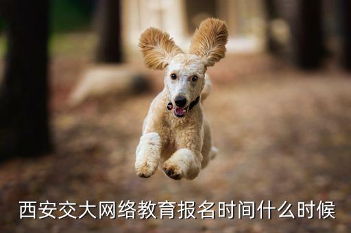 西安交大專升本報名官方網站,云南專升本報名官方網站入口