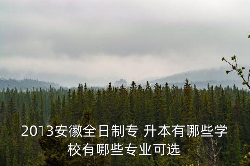 2013安徽全日制專 升本有哪些學(xué)校有哪些專業(yè)可選