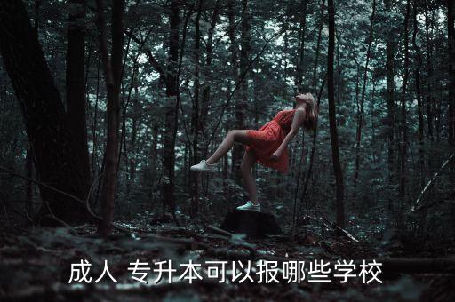成人 專升本可以報哪些學校