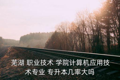  蕪湖 職業(yè)技術(shù) 學(xué)院計算機(jī)應(yīng)用技術(shù)專業(yè) 專升本幾率大嗎