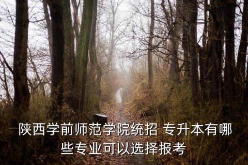  陜西學(xué)前師范學(xué)院統(tǒng)招 專升本有哪些專業(yè)可以選擇報考