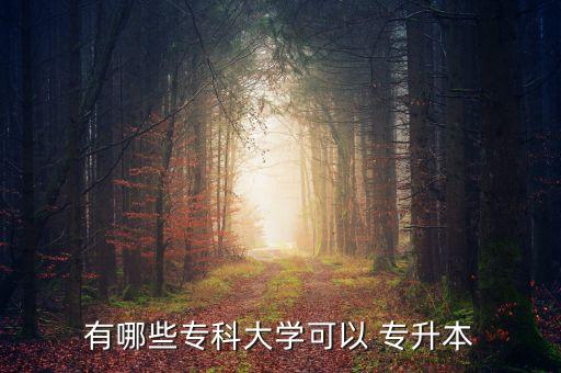 有哪些?？拼髮W(xué)可以 專升本