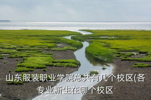 山東服裝職業(yè)學(xué)院總共有幾個(gè)校區(qū)(各專業(yè)新生在哪個(gè)校區(qū)