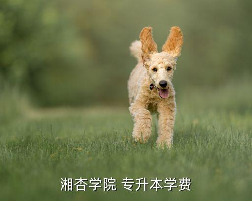 針灸推拿專升本總分,云南針灸推拿專升本總分