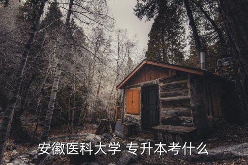 安徽醫(yī)科大學(xué) 專(zhuān)升本考什么