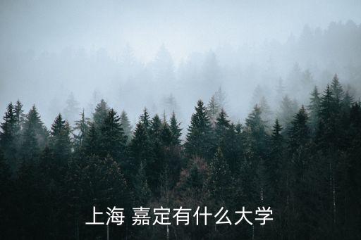 上海 嘉定有什么大學