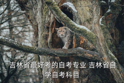  吉林省最好考的自考專業(yè) 吉林省自學自考科目