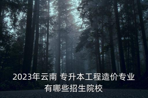 2023年云南 專(zhuān)升本工程造價(jià)專(zhuān)業(yè)有哪些招生院校