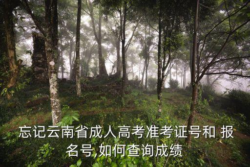 專升本的報(bào)名號(hào)忘記