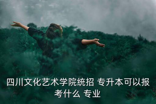四川文化藝術學院統(tǒng)招 專升本可以報考什么 專業(yè)