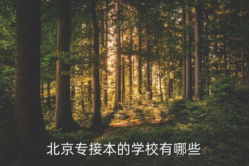 北京專接本的學(xué)校有哪些