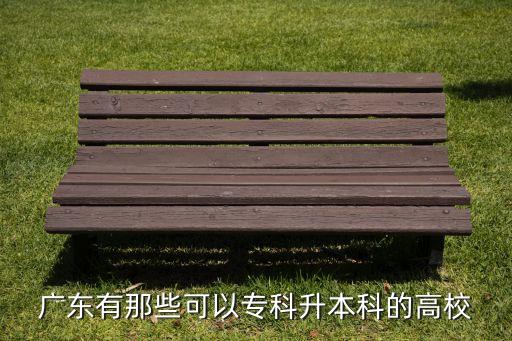 白云學(xué)院專升本,廣東白云學(xué)院專升本