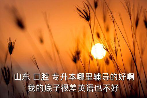  山東 口腔 專升本哪里輔導(dǎo)的好啊我的底子很差英語也不好
