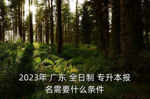 2023年 廣東 全日制 專(zhuān)升本報(bào)名需要什么條件