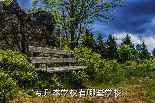  專(zhuān)升本學(xué)校有哪些學(xué)校