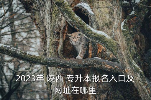 2023年 陜西 專升本報(bào)名入口及網(wǎng)址在哪里