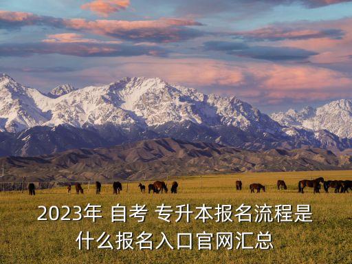 2023年 自考 專升本報(bào)名流程是什么報(bào)名入口官網(wǎng)匯總