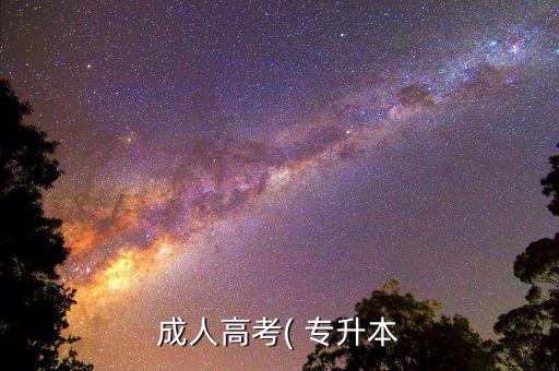 成人高考( 專升本
