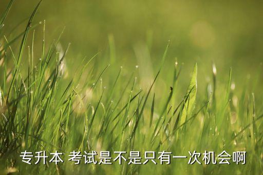  專(zhuān)升本 考試是不是只有一次機(jī)會(huì)啊