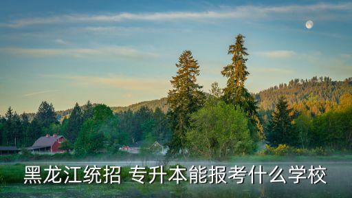 黑龍江統(tǒng)招 專(zhuān)升本能報(bào)考什么學(xué)校