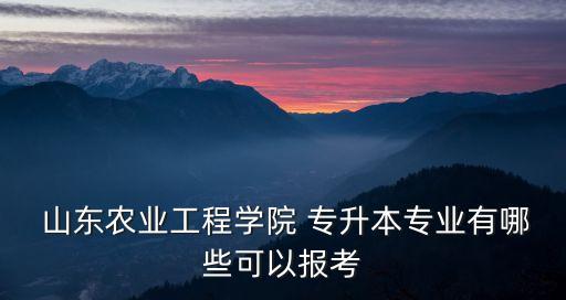  山東農(nóng)業(yè)工程學(xué)院 專升本專業(yè)有哪些可以報(bào)考