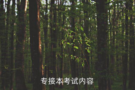 專接本考試內(nèi)容