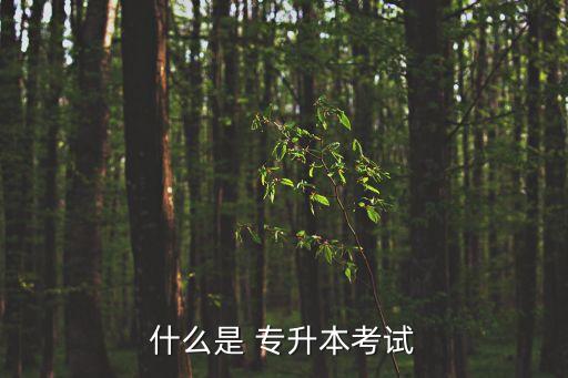 什么是 專升本考試