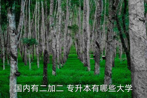 國(guó)內(nèi)有二加二 專(zhuān)升本有哪些大學(xué)
