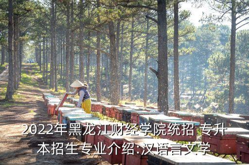 2022年黑龍江財經學院統招 專升本招生專業(yè)介紹:漢語言文學