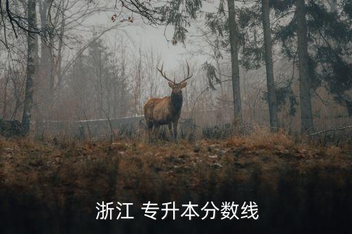  浙江 專升本分?jǐn)?shù)線