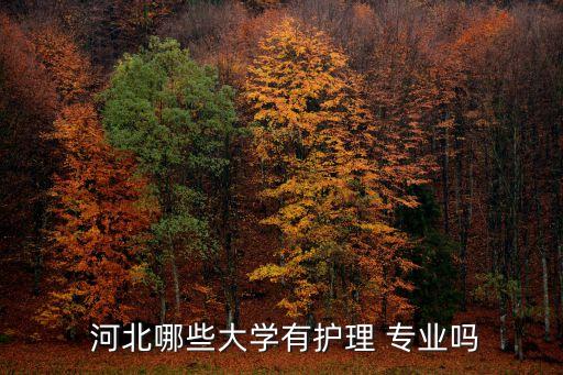 河北哪些大學(xué)有護理 專業(yè)嗎