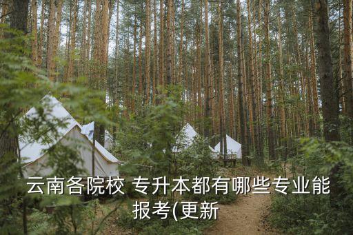  云南各院校 專升本都有哪些專業(yè)能報考(更新