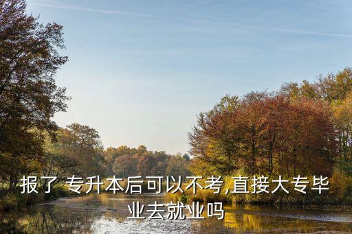 報(bào)了 專升本后可以不考,直接大專畢業(yè)去就業(yè)嗎