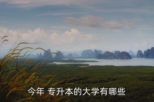 今年 專升本的大學(xué)有哪些