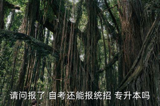 請問報(bào)了 自考還能報(bào)統(tǒng)招 專升本嗎