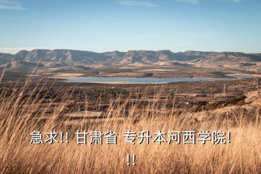 甘肅專升本書籍購買