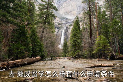 去 挪威留學(xué)怎么樣有什么申請條件